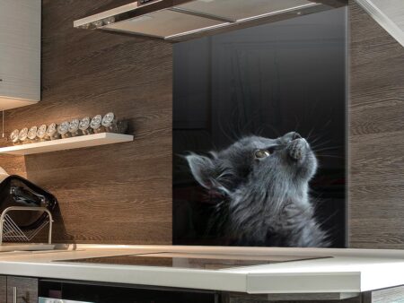 Cat Kitchen Splashback