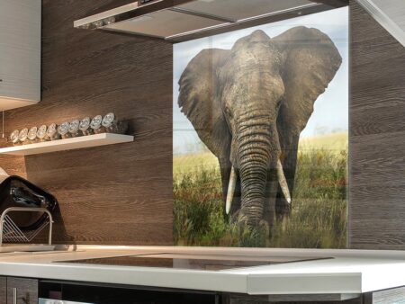 Elephant Kitchen Splashback
