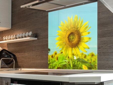Sunflower Kitchen Splashback