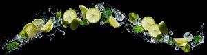 PWP463-lemons-and-limes