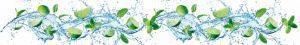 PWP494-lime-slice-splash