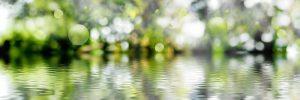 PWP512-water-reflection-blurred