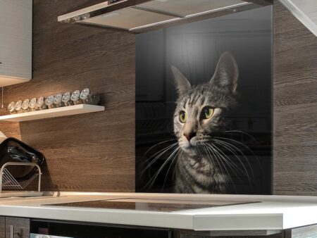 Tabby Cat Kitchen Splashback