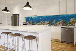 coral-reef