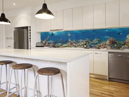 coral-reef