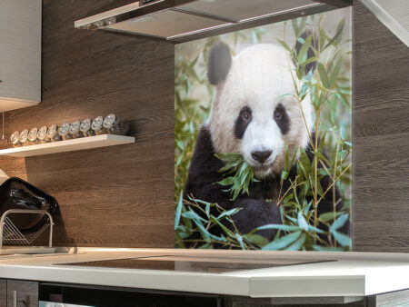 Hungry Panda Kitchen Splashback