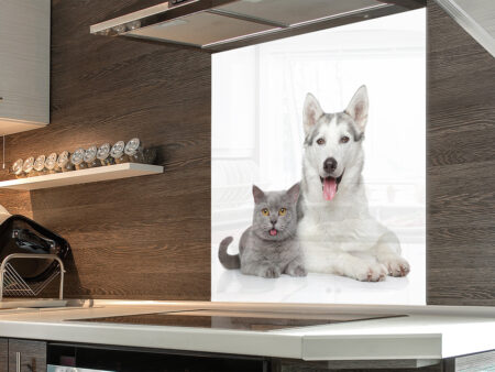 Dog & Cat Kitchen Splashback