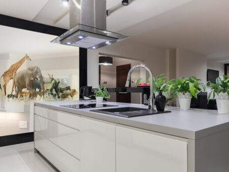 Safari Painting Splashback