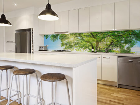 Sun Through Tree Splashback