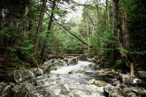 PSB373-rambling-river