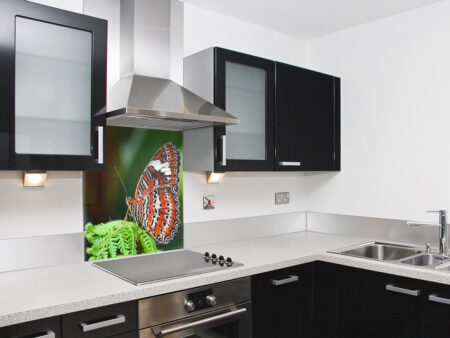 Leopard Lacewing Butterfly Splashback