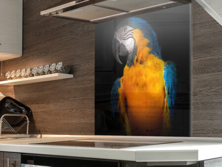 Parrot On Black Kitchen Splashback