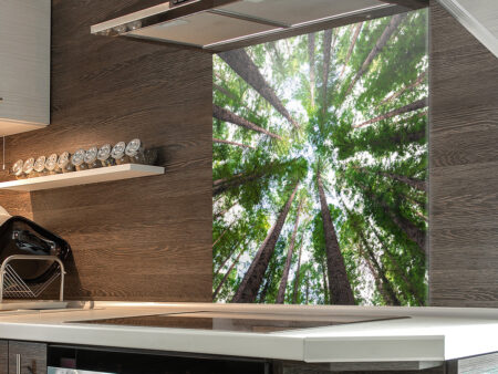 Trees Looking Up Splashbacks