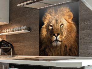 65-lion