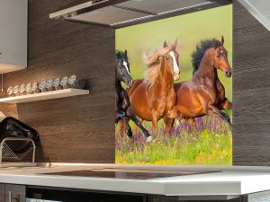 horses-splashback