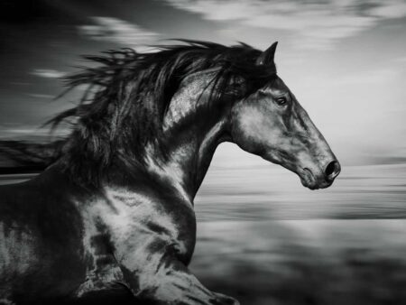 Black Beauty Splashback