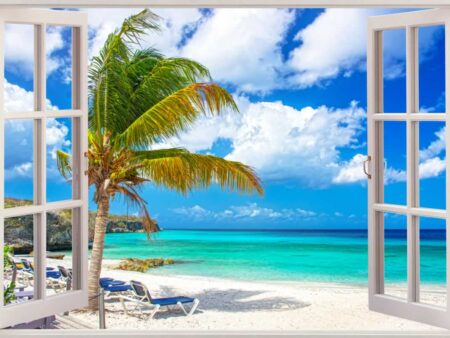 Palm Beach Window Splashback