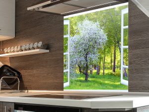 forestwindow